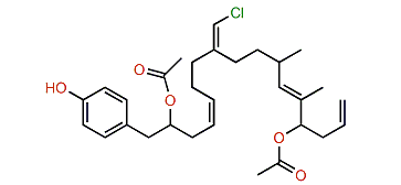 Erectuseneol B